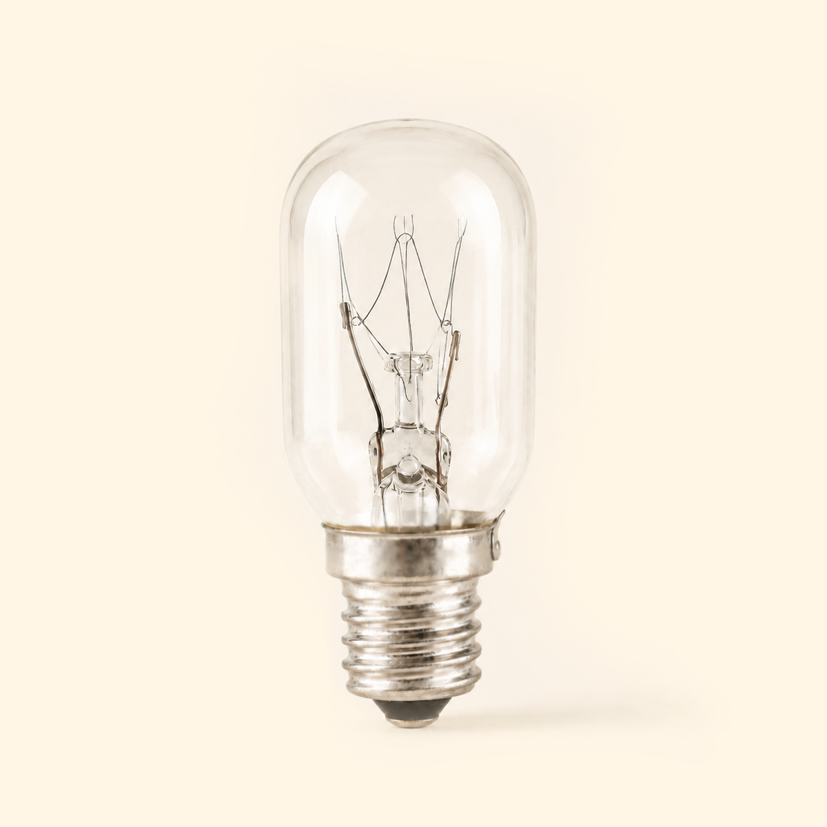 T20 E12 25W Replacement Bulb